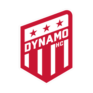 VT Dynamo